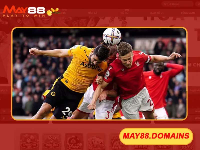 Wolverhampton và Nottingham Forest