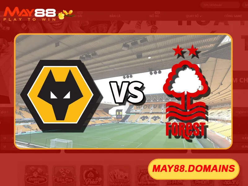 Wolverhampton và Nottingham Forest